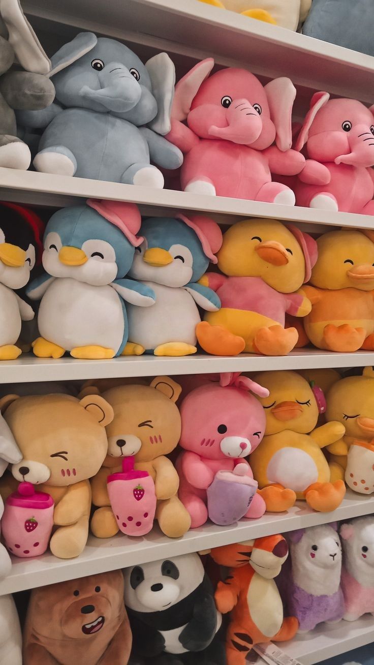 Accesorios y regalos